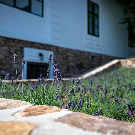 Tervey-villa Apartament