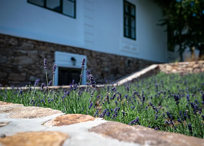 Tervey-villa Apartment